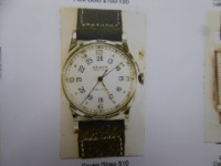 Gruen Remastered Catalog 2015-02-01 21